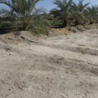 فروش زمین کشاورزی 4000متر|فروش دفتر صنعتی، کشاورزی، تجاری|ایرانشهر, |دیوار