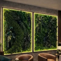درخت جاودان بنسای دیوار خزه ای ماسوال|گل و گیاه طبیعی|تهران, اکباتان|دیوار