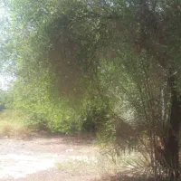 ۴۵متر خانه مصالح بنایی ۱۲ قصب زمین اب و برق