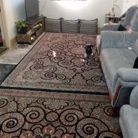 اجاره-سویت-یک-خوابه-درقله-نو