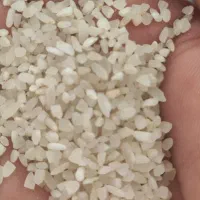 برنج خورده برنج و خورده اشی کامفیروز|عمدهفروشی|کامفیروز, |دیوار