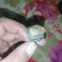 سنگ شجر اکتشافی