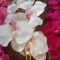 چهار عدد ارکیده خارجی به همراه دو عدد گل|گل مصنوعی|تهران, مشیریه|دیوار