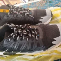 کتانی سالمون