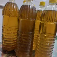 روغن زیتون اصل طارم