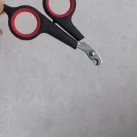 خاک ظرف گربه وناخن گیر قیمت مناسب