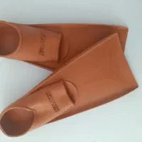 فین