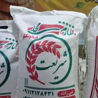 برنج شمال فریدونکنار شریعت