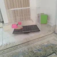 قفسه بزرگ