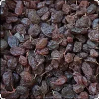کشمش ، خرما و شیره|عمده‌فروشی|هشتگرد, فاز ۲ مهستان|دیوار