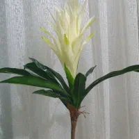 گل مصنوعی|گل مصنوعی|گرگان, |دیوار