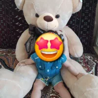 یک عدد خرس کرم رنگ بسیار تمیز