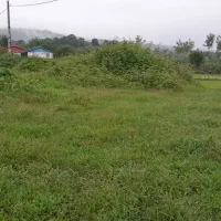 1200مترزمین-کشاورزی-سندتکبرگی-رضوانشهر