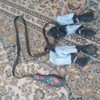 لوازم سگ