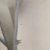 گلگیر جلو برلیانس 330اصلی دو طرف|قطعات یدکی و لوازم جانبی|شاهینشهر, شهرک ردانی پور|دیوار