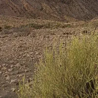فروش زمین۵۵۴متری شهرک سبز هرمزان(دزک)
