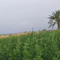 حفاری چاه کشاورزی تا عمق ۲۰۰متر