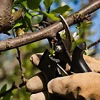 بیل زنی باغ باغچه کارگر جابجای نظافت