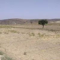 ۱۳۰هکتار زمین کشاورزی