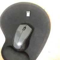 موس و پد موس