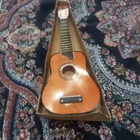 گیتار سالم