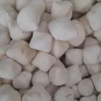 گردو کاغذی|خوردنی و آشامیدنی|رفسنجان, |دیوار