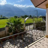 چلندر-ملکار-ویو-جنگل-اکازیون