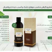 محصولات لدورا