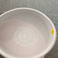 وسایل آشپزخانه و پلاسکو