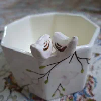 ظرف پذیرایی وماگ