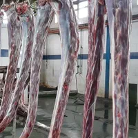 فروش و توزیع گوشت تازه شترمرغ و شتر|خوردنی و آشامیدنی|قم, زنبیل آباد|دیوار