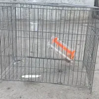 قفس پرنده
