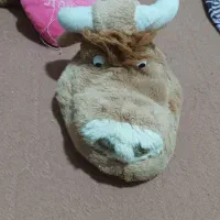 تعدادی عروسک خرسک|اسباب‌بازی بچه|زاهدان, |دیوار