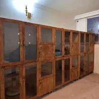 باکس پانسیون گربه