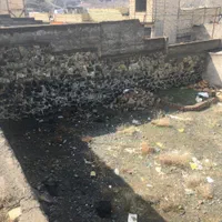 ییلاق جاغرق زمین مسطح دور دیوار سه نبش آماده ساخت|فروش زمین و ملک کلنگی|طرقبه, |دیوار