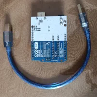 برد اردوینو