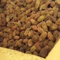 کشمش سبز طبیعی سایه خشک بدون هسته|خوردنی و آشامیدنی|یزد, |دیوار