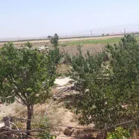 ۳۵۰متر زمین باغچه سهیلیه اقبالیه دولت آباد|فروش زمین و ملک کلنگی|کرج, گلشهر|دیوار
