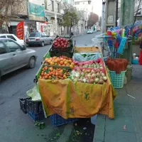 گاری|فروشگاه و مغازه|ملارد, |دیوار