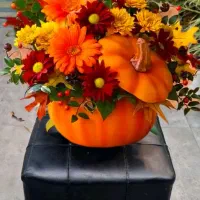 میوه آرایی ، گل آرایی ، و دیزاین منزل