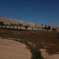 کارگر جهت آبیاری چمن