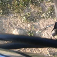 فروش ۶۰ متر کابل ۳ در ۶