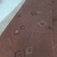 موکت|موکت|نیشابور, هفده شهریور|دیوار