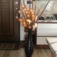 آباژور|چراغ خواب و آباژور|کرج, دانشکده علوم پزشکی البرز|دیوار