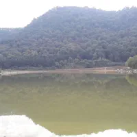 کار در منزل با گوشی