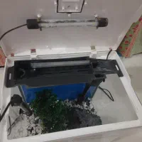 آکواریوم سالم|ماهیگیری|فردیس, شهرک وحدت|دیوار