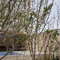 اجاره-باغ-توس-75