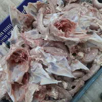 اسکله مرغ مخصوص سگ