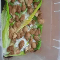 حلزون  تخم گذار|خزنده|کرج, چهارصد دستگاه|دیوار