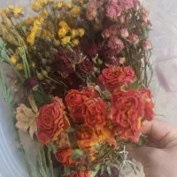 گل طبیعی خشک شده